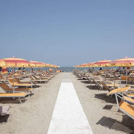 Monica 트라글리아타