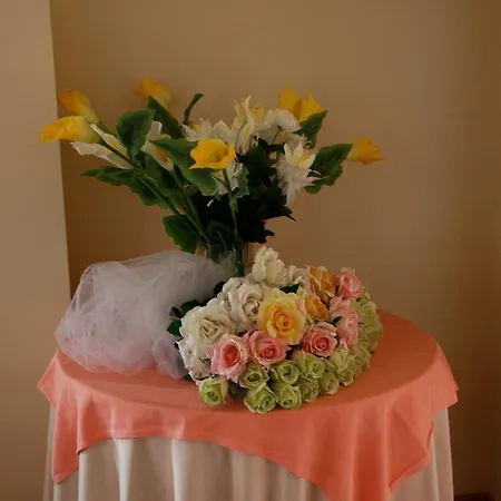 호텔 Monica 트라글리아타